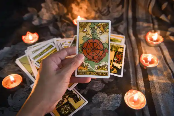 tarot cards Novi